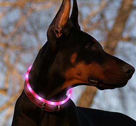 LED Dog Collar, USB Rechargeable Waterproof Safety Pet Dog Collar Light One Size Fits All