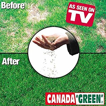 Canada Green Grass Seed - 12 Pounds