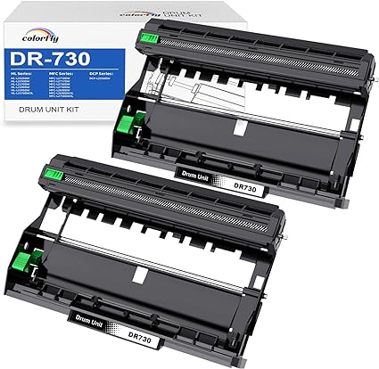 High Yield DR730 Drum Unit Replacement for Brother Printer - 2 Packs, Compatible with HL-L2350DW MFC-L2710DW DCP-L2550DW MFC-L2750DW HL-L2390DW HL-L2395DW MFC-L2690DW HL-L2370DW HL-L2370DWXL Printers