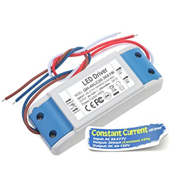 Chanzon LED Driver 300mA (Constant Current Output) 60V-120V (Input 85-277V AC-DC) (20-36)x1W 20W 24W 30W 36W Power Supply 300 mA Lighting Transformer Drivers for High Power COB Chips (Plastic Case)