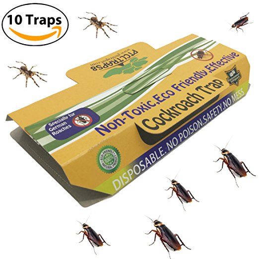 Highly Effective Cockroach Trap Non-Toxic and ECO-Friendly 10 Traps