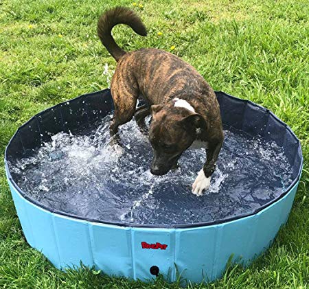 BINGPET Large Dog Swimming Pool Pet Bathtub Collapsible Puppy Bath Tub