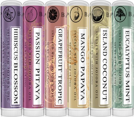 Art Naturals® 100% Natural Lip Balm Beeswax - 6 Pack Assorted Flavors 0.15 oz each - Best Chapstick for Dry, Chapped & Cracked lips - Lip Repair & Therapy with Aloe Vera, Coconut, Castor & Jojoba Oil