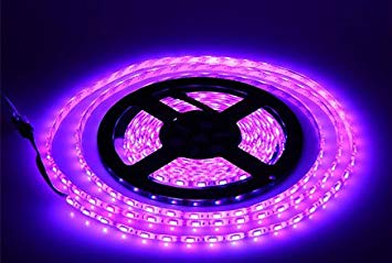 Lumcrissy led light strip -12V LED Strip Lights Waterproof 3528 SMD 5M 300LED 300 Units LEDs Light Strip (Purple)