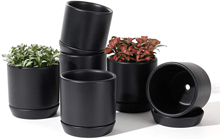 POTEY 055310 Succulent Pots with Drainage Hole & Saucer - 3.1 Inch Glazed Ceramic Small Planters Pot Indoor for Plants Cactus Succulent(Matte Black, Set of 6, Plants NOT Included)