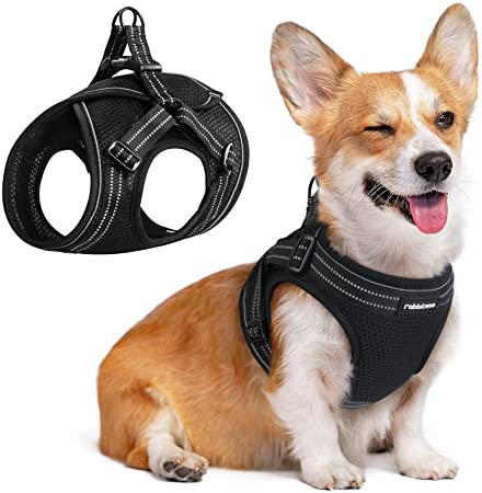 rabbitgoo Small Dog Harness, Soft Mesh Dog Harness Small Breed with 4 Adjustable Straps, No Pull Dog Vest Harness with Double Clips & Reflective Strips, Escape Proof, Black, Large