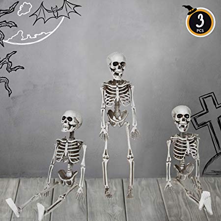 Halloween Party Indoor Table and Outdoor Lawn Yard Decoration Pack of 3 PCS 16" Realistic Looking Full Body Skeletons for Party Graveyard Haunted House Decor Decorations Accessories