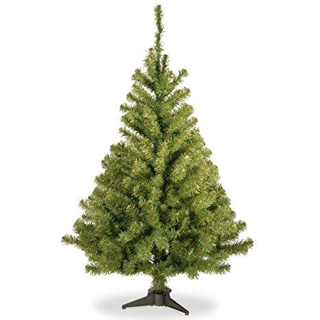 National Tree KCDR-40 Kincaid Spruce Tree's, 4-Feet