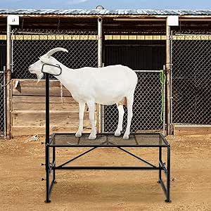 VEVOR Deluxe Adjustable Goat & Sheep Stand 51x23" Premier Aluminum Livestock Milking and Shearing Stand, Durable Headpiece, Height Adjustable, Ideal for Horned Farm Animals, Black