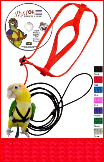 The AVIATOR Bird Harness and Leash: Petite Red