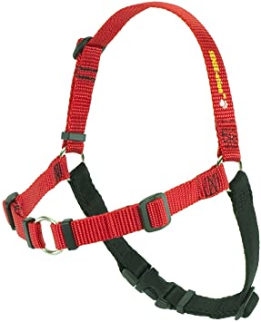 SENSE-ation No-Pull Dog Harness - Red with Black Small by Softouch