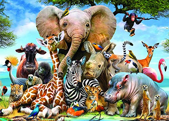 1000 Pieces Jigsaw Puzzle Landscape Building Puzzle Educational Toys for Kids Adults (Colorful-Animal)