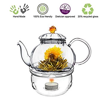 Glass Teapot Friendship series with Tea Warmer Cozy Lead Free Special Glass No Drip by Tea Beyond (Glass, 20 oz Amber Juliet)