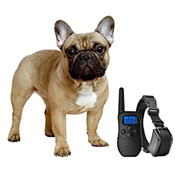 Shock Collar for Small Dogs with Remote   FREE Training Clicker – 3 Mode Dog Training (sound, vibration & shock) – Save Money with Rechargeable Batteries – Clicker   Shock Collar= Faster Results