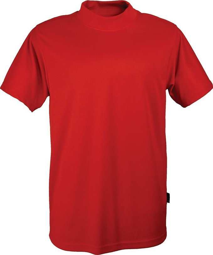 Colorado Timberline Dillon Microfiber Mock T Shirt