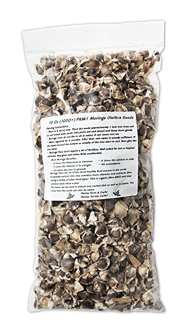10 oz (Apx 1000) PKM1 Moringa Seeds - Paisley Farm and Crafts
