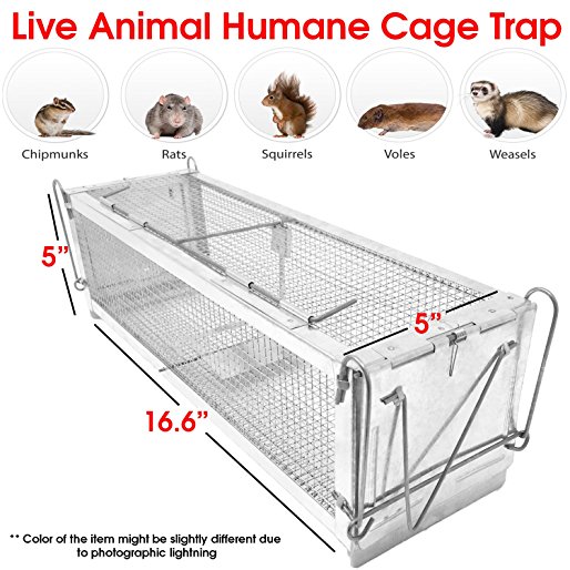 Rat Trap - Live Animal Trap Preassembled Heavy Duty Easy Bait for Small Animal Humane Live Outdoor Cage Lightweight Aluminum Spring Triggered Door Mechanism w/ Latch - Easy to set up