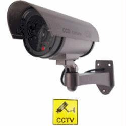 5 inch IR Dummy Camera in Circular Outdoor Housing with light
