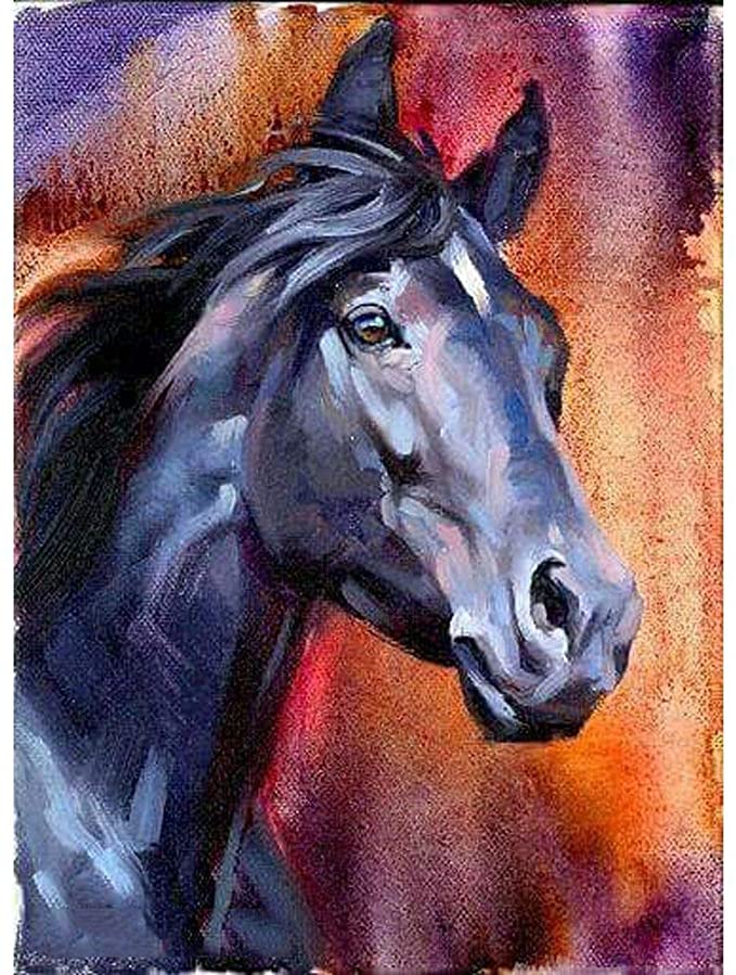 5D Diamond DIY Painting by Number Kits, AxiEr Diamond Crystal Rhinestone Embroidery Paintings Pictures Arts Craft, 11.8 x 15.7 inches (Horse)