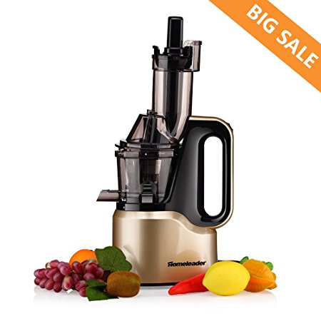 Homeleader Juicer, Slow Masticating Juicer with 2 inch Big Mouth, 50RPM, Champagne