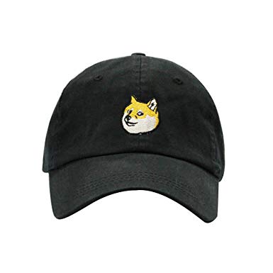 ChoKoLids Doge Dad Hat Cotton Baseball Cap Beanie Polo Style Low Profile Ski Hat