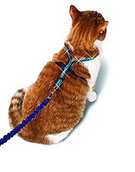 PetSafe Come with Me Kitty Glitter Harness and Bungee Cat Leash