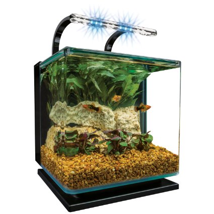 Marineland Contour Glass Aquarium Kit with Rail Light, 3-Gallon