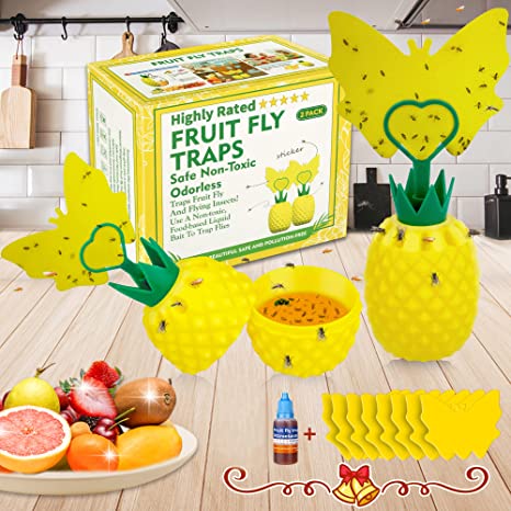 Fruit Fly Trap for Indoors, Effective Fly Catcher Gnat Trap Killer with Yellow Sticky Traps, Gnat Trap with Bait for Indoor and Outdoor, Safe Non-Toxic and Odorless Fly Trap for Home,Kitchen(2 Pack)