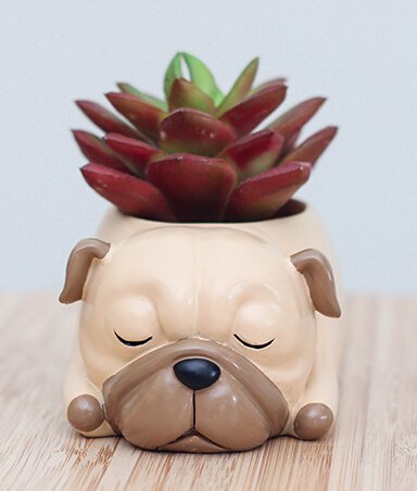 Cuteforyou Cute Animal Shaped Cartoon Home Decoration Succulent Vase Flower Pots (Pug)