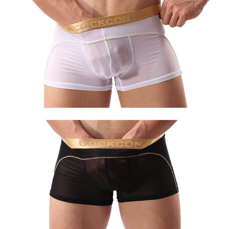 Men Boxer Briefs Shorts Bulge Pouch Soft Underpants See-through Underwear 828