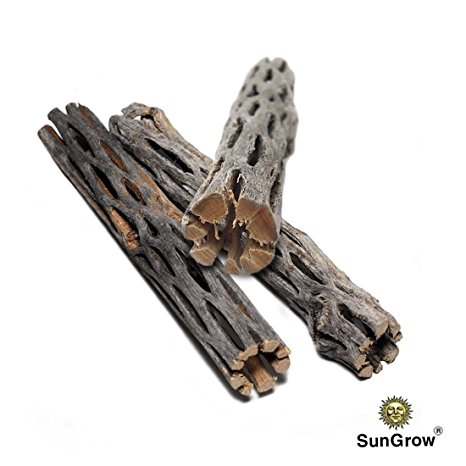 SunGrow® Natural Cholla Wood, 3 Pieces, 5 inches Long: Aquarium Decoration and Chew Toys for small pets