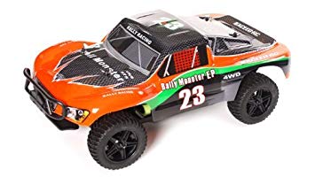 1/10 2.4Ghz Exceed RC Electric Rally Monster RTR Off Road Rally Truck Carbon Orange