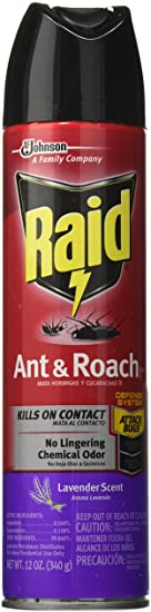 Raid Ant & Roach Killer Spray for Listed Bugs, Insect, Spider, For Indoor Use, Lavender Scent, 12 Oz, Pack of 1