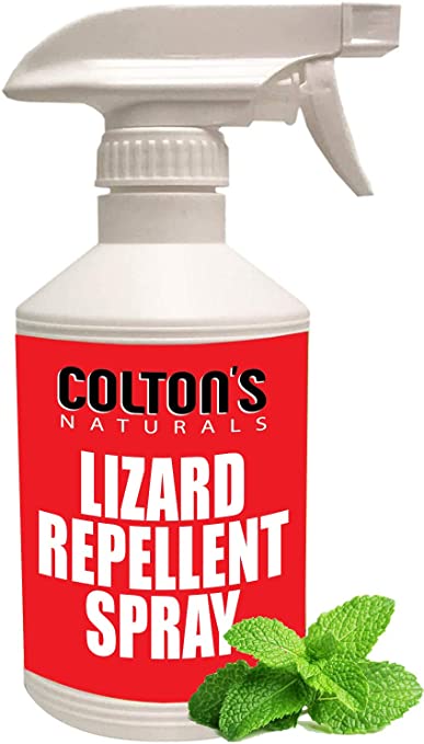 Lizard Repellent 32 OZ Spray 100% Natural Gecko Reptile Deterrent Outdoor or Indoor