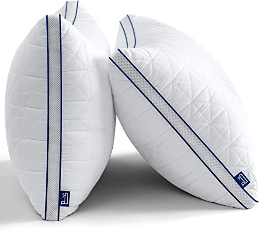 BedStory Pillows Queen Size 2 Pack, Hotel Bed Pillows for Neck Pain, Oreiller Lit Queen, Hypoallergenic Pillows for Sleeping, Fluffy Down Alternative Pillows for Side Sleeper, Back, Stomach Sleeper