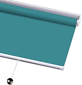 PASSENGER PIGEON Blackout Window Shades, Premium Free-Stop Cordless UV Protection Custom Roller Blinds, 22" W x 36" L,Lake Blue