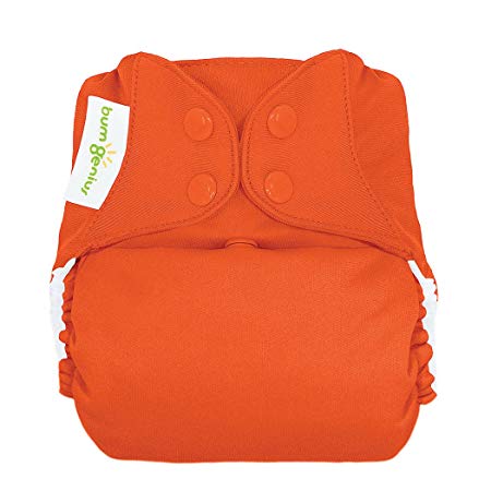 bumGenius Freetime All-In-One One-Size Snap Closure Cloth Diaper (Sassy)