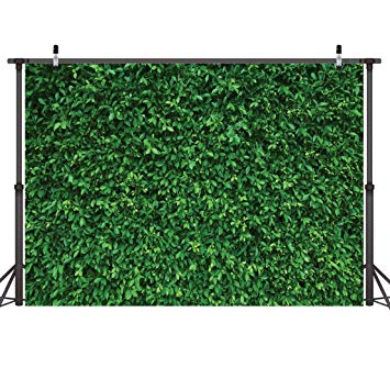 LYWYGG 7x5FT Green Leaves Photography Backdrops Mmicrofiber Nature Backdrop Birthday Background for Birthday Party Seamless Photo Booth Prop Backdrop CP-87