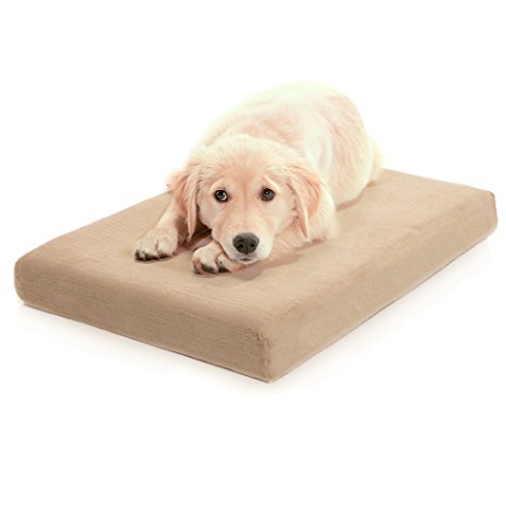 Milliard Premium Orthopedic Memory Foam Dog Bed with Anti-Microbial Waterproof Non-slip Cover, Small 24x18x4 in