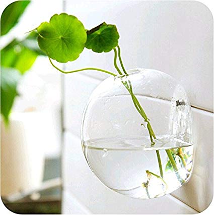 Mkono Wall Hanging Plant Terrarium Glass Planter, Bubble M