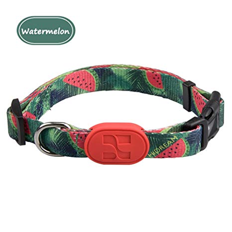 QRemix Adjustable Dog Collar, with Metal D Ring & Strong Buckle, Available in 4 Colors