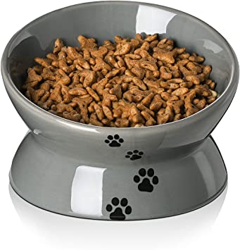 Y YHY Ceramic Raised Cat Bowl, Tilt Angle Protect Cat's Spine, Stress Free, Backflow Prevention