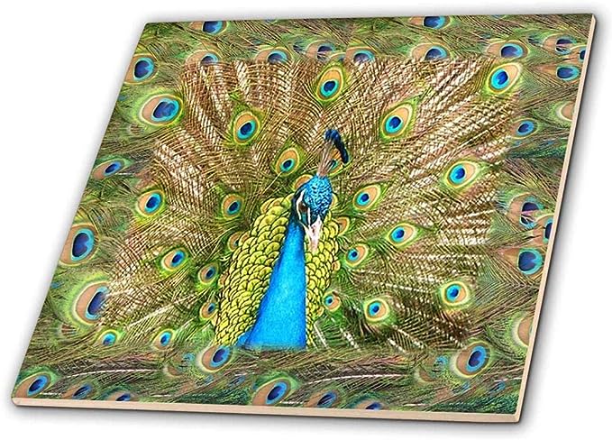 3dRose ct_41699_4 Peacock Head N Peacock Feathers Ceramic Tile, 12"