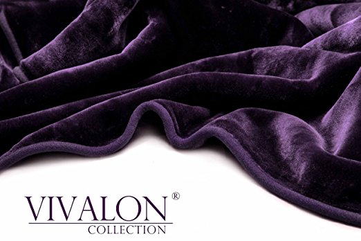 VIVALON Solid Color Ultra Silky Soft Heavy Duty Quality Korean Mink Reversbile Blanket 8 lbs Queen Purple