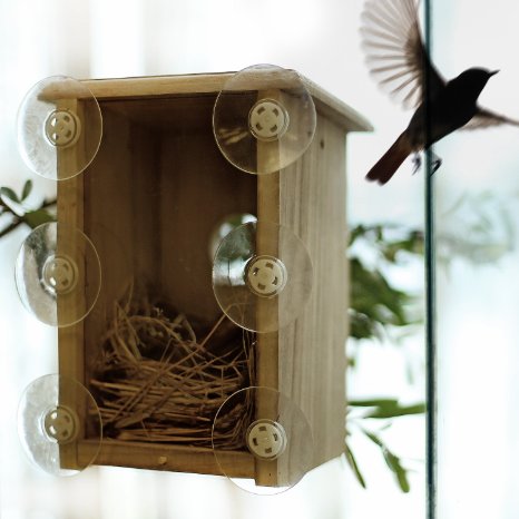 PetsNall Clear Window Bird Nest Box with Perch Bird House