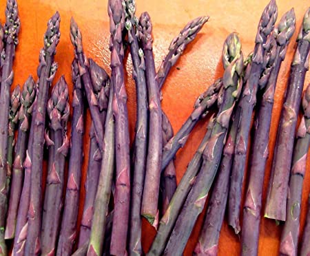20 Asparagus Crown - Asparagus - Purple Passion 2 Year Roots