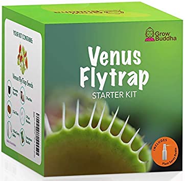 Grow Your Own Venus Fly Trap Kit – Easily Grow Your Own Carnivorous Plant with Our Complete Beginner Friendly Seeds Starter Kit – Unique Gift Idea - Venus Flytrap Plant