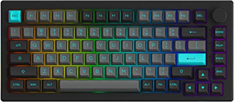 Akko 5075B Plus Mechanical Keyborad 75% Percent RGB Hot-swappable Keyboard with Knob, Black&Cyan Theme with PBT Double Shot ASA Profile Keycaps with Wine Red Switch