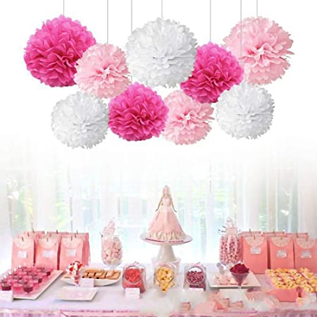 iShyan 18pcs Tissue Hanging Paper Pom-poms, Flower Ball Wedding Party Outdoor Decoration Premium Tissue Paper Pom Pom Flowers Craft Kit(Pink & White)