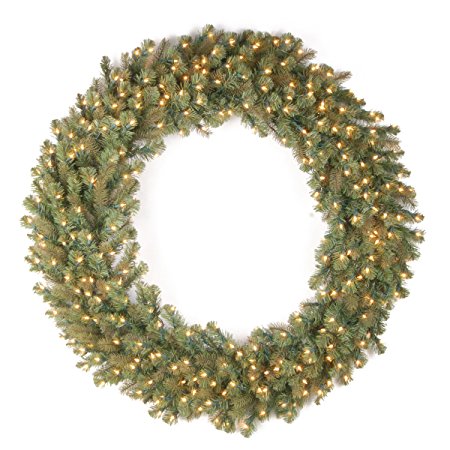 National Tree 48 Inch "Feel Real" Downswept Douglas Fir Wreath with 200 Warm White LED Lights (PEDD8-312L-48W)